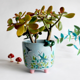 Porseleinen plantenpot in geschenkdoos