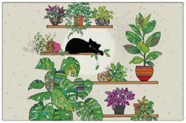 Placemat - Kat op een plank