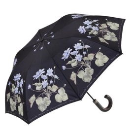 Paraplu - Blauwe anemoon