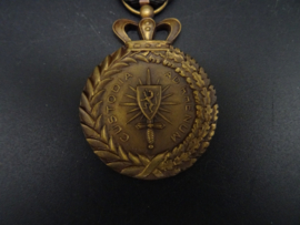 Occupation of the Rhineland medal ww1/ww2
