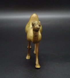Brass dromedary statue