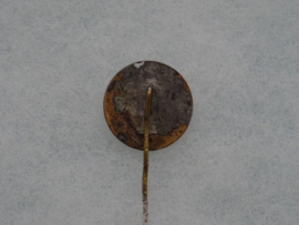 SKFV stick pin