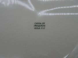 US Army Medical Department dinner plate Iroquois