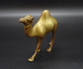 Brass dromedary statue