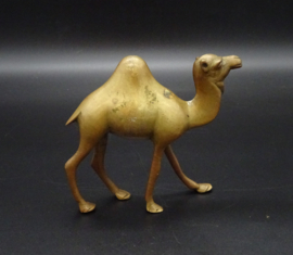Brass dromedary statue