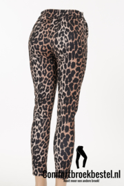Travelbroek Print L