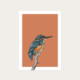 Kaart ‘IJsvogel’