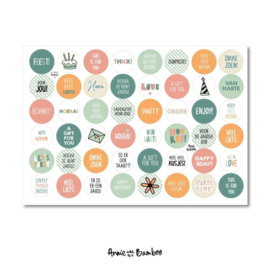 Stickervel cadeau - veelkleurig