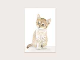 Kaart ‘Kat’