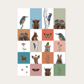 Stickervel natuurgebied