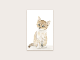 Minikaartje ‘Kat’