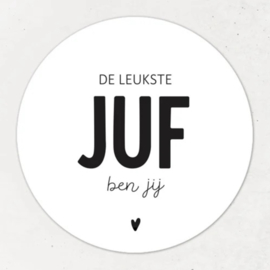 Magneet ‘De leukste juf ben jij’