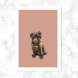 Kaart ‘Hond met bloem’