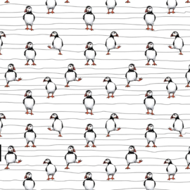 Cadeaupapier papegaaiduiker