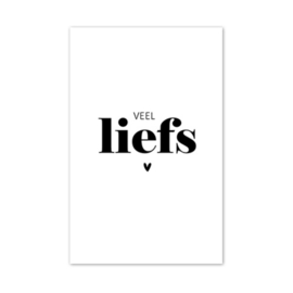 Minikaartje ‘Veel liefs’