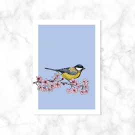 Kaart ‘Koolmees’ Blauw