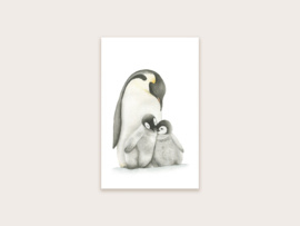 Minikaartje ‘Pinguïns’