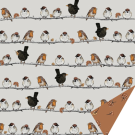 Cadeaupapier vogels/besjes
