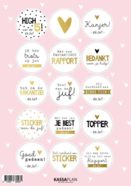 Stickervel juf