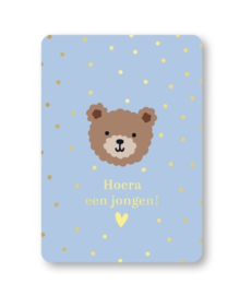 Hoera een Jongen (little bear) - A6 blauwe ansichtkaart