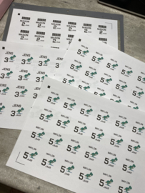Dino stickers met naam - 24 stuks op een vel