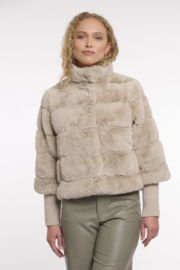 Jas Feline Birch Rino & Pelle