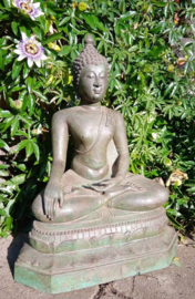 Boeddhabeeld in Bhumisparsha houding