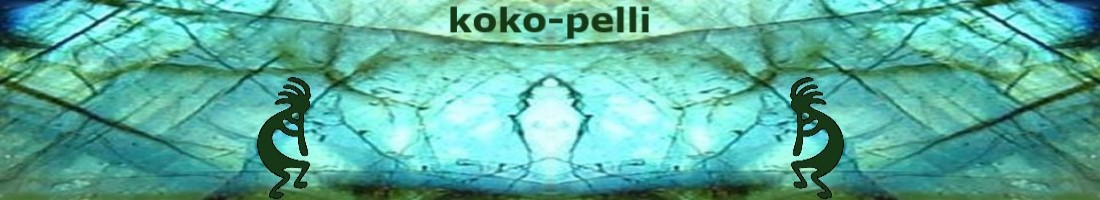 koko-pelli.nl