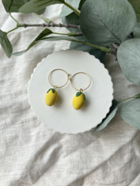 Lemon • kraal