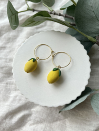 Lemon • kraal