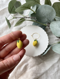 Lemon • kraal