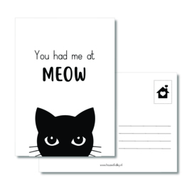 A6 kaart | You had me at MEOW