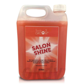 Salon Shine hygiënische reiniger 5L