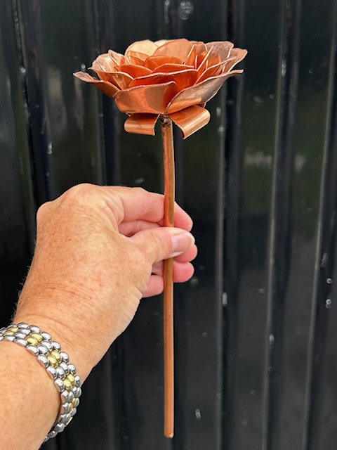 Roos van Koper (27x9,2cm)