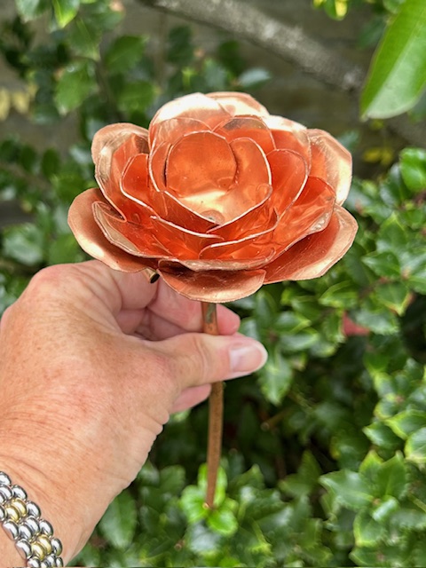 Roos van Koper (27x9,2cm)