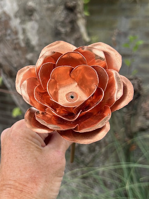 Roos van Koper (27x9,2cm)