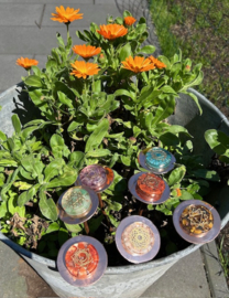 Bloemen van koper met chakra orgonites (7-delig 21x6cm)