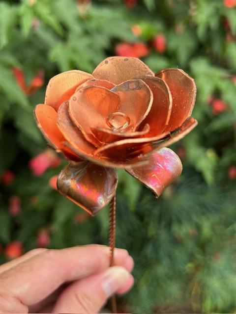Roosje van Koper (25,5x5,2cm)