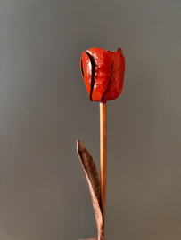 Tulp van Koper, rood geverfd