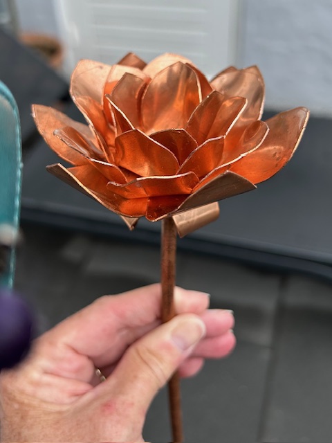 Roos van Koper (28x9,5cm)