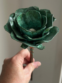 Roos van Koper, groen met steel