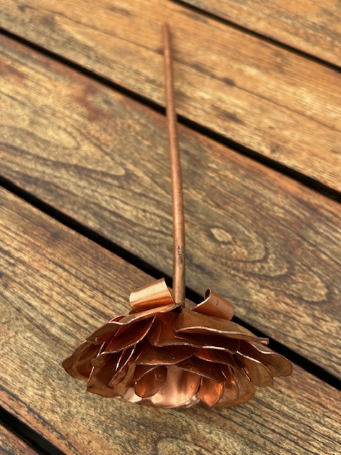 Roos van Koper (27x9,2cm)