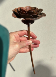 Roos van Koper 26,5x9,5
