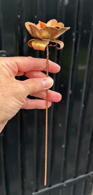 Roosje van Koper (26x5,5cm)