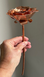 Roos van Koper (26,5x9,8cm)