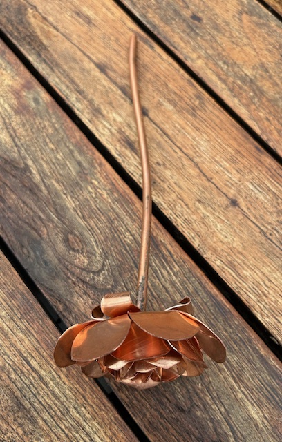 Roos van Koper (28x9cm)