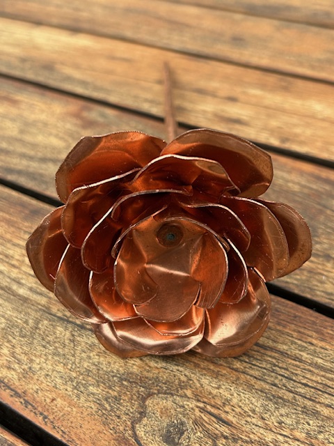 Roos van Koper (27x9,2cm)