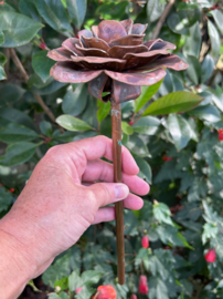 Roos van oud-Koper met steel 27x10cm