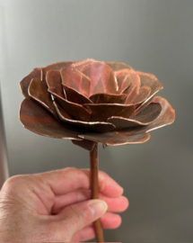 Roos van Koper 26,5x9,5