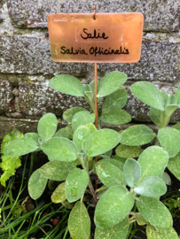 Moestuin-Label (30x10x5cm)